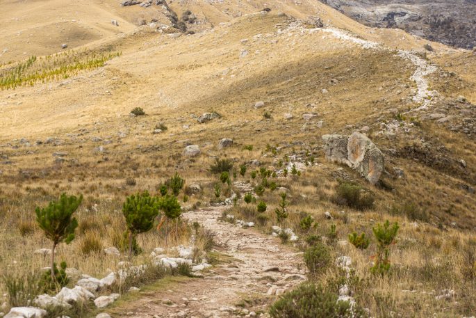 Pfad in die Cordillera blanca