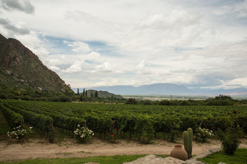Finca las Nubes