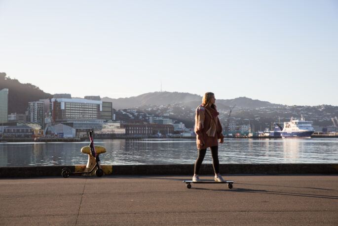 Blick über Wellington Harbour
