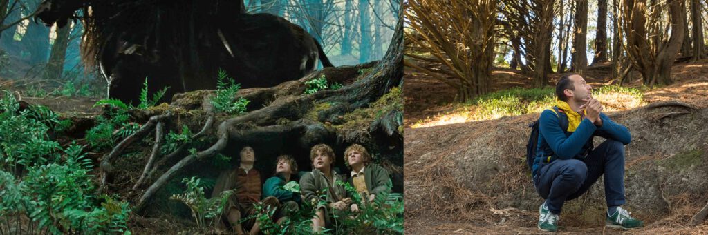 Hobbits und Tobi im Auenland