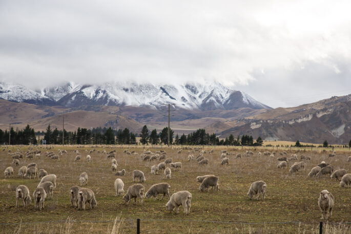 Arthur's Pass
