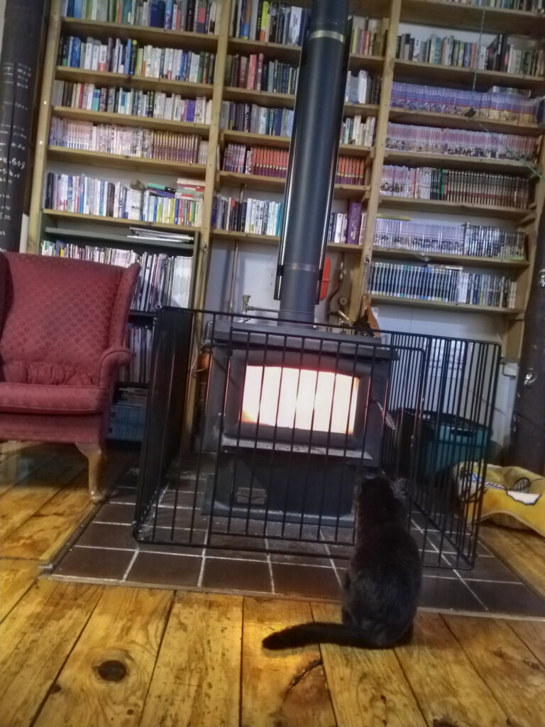 Die Hostel Katze vorm Kamin