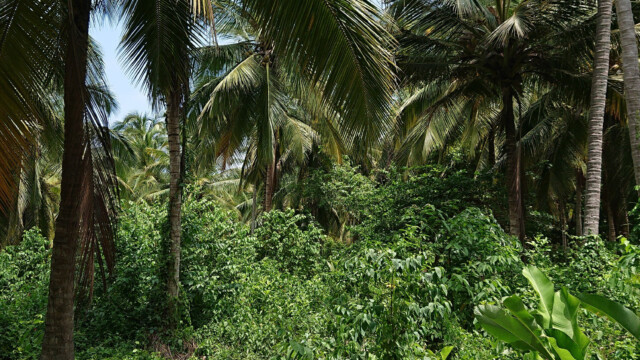 Nationalpark Tayrona