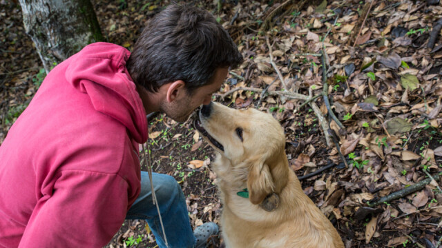 Chiclet (= Kaugummi), der "Wachhund" der Kaffeeplantage