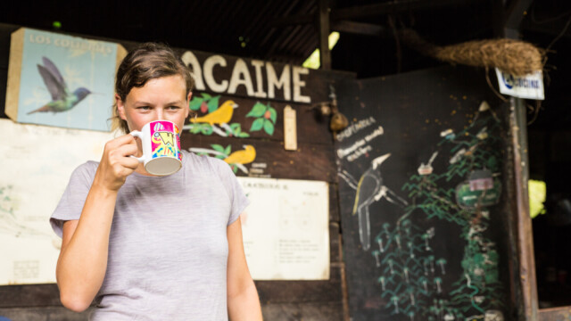 Kaffee bei der Kolibri-Farm