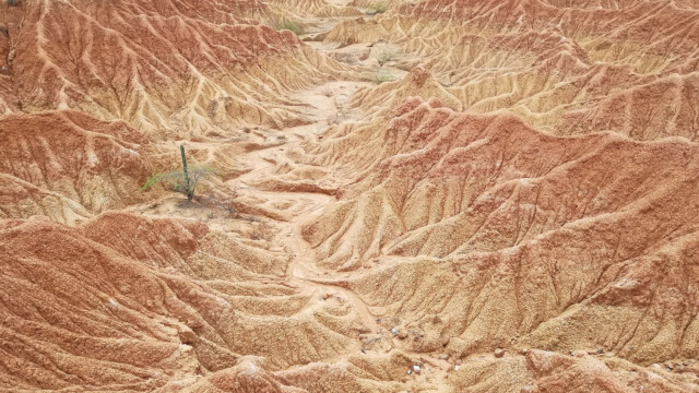 roter Teil der Wüste