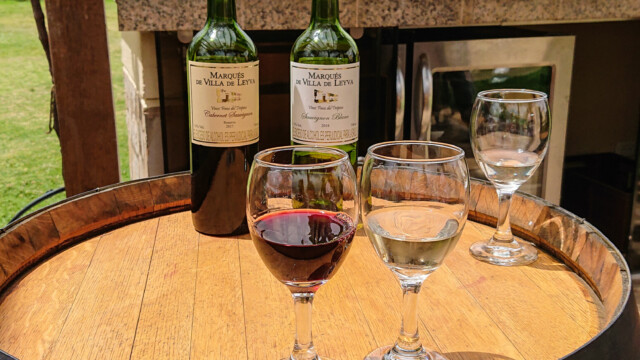 Weinprobe