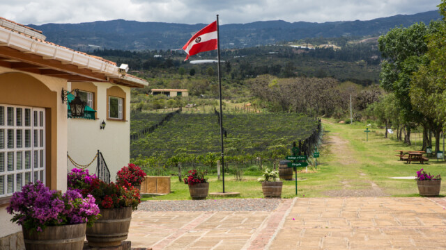 Weingut Ain Karim