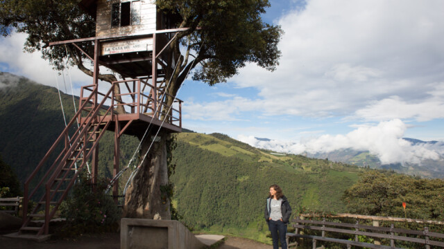 Casa del árbol