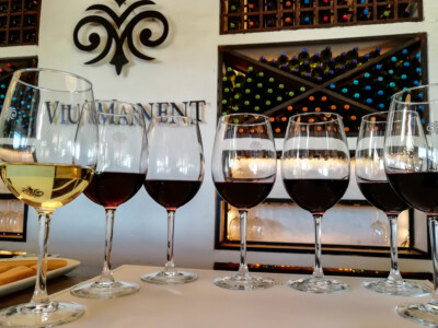 Weingut Viu Manent