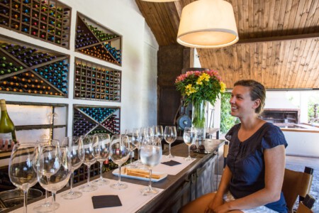 Weingut Viu Manent