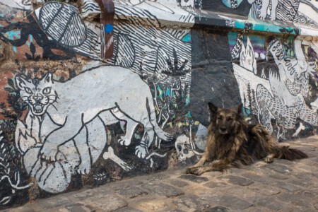 Straßenkunst in Valparaiso