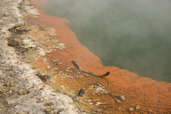 Ufer des Champagne Pool