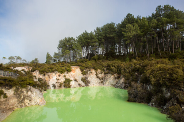 See im Wai-O-Tapu (mit einem sportlichen pH von2)