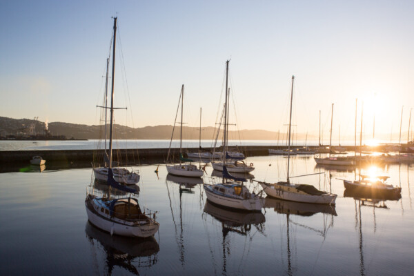 Segelbotte im Wellington Harbour
