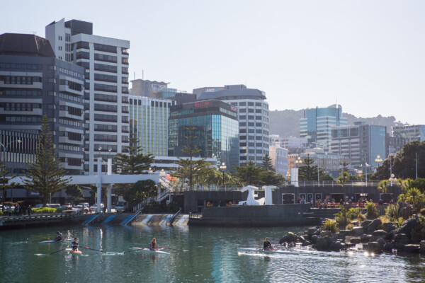 Ruderer im Wellington Harbour