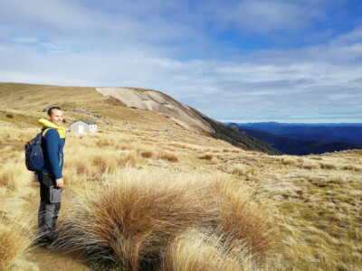 Mount Robert