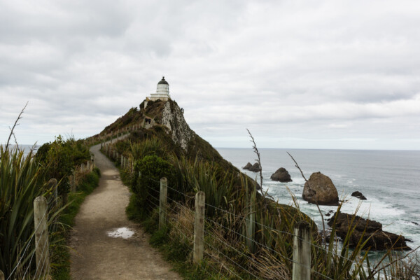 Nugget Point Leuchtturm