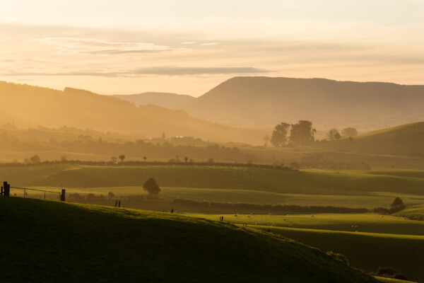 Sonnenuntergang in den Catlins