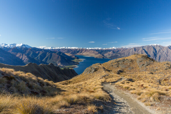 Blick auf Lake Hawea vom Isthmus Peak