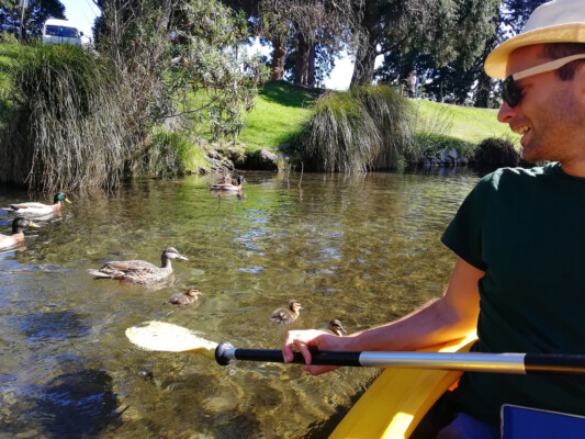 Tobi im Kayak auf dem Avon River in Christchurch
